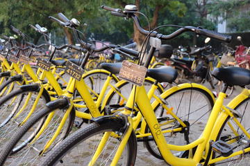 Private Half-Day Beijing Tour: Forbidden City and Houhai Lake Bike Tour