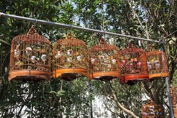 Recorrido privado de 6 horas por Pekín: Mercado de flores y pescado...