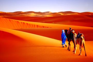 9-Night Morocco Discovery Private Tour from Marrakech