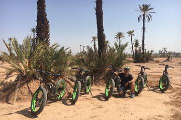 Fat Bikes Adventure from Marrakech