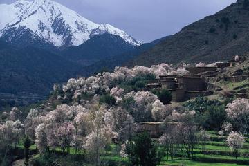Private Day Trip: Atlas Mountains, Ourika Valley, Berber Village, Waterfall, Takerkoust Lake from Marrakech