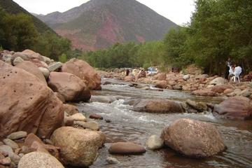 Private Day Trip from Marrakech: Ourika Valley, Berber House, Waterfall and Camel Experience