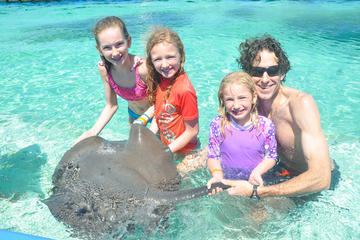 Private Glass Bottom Boat and Stingray Bay Encounter from Punta Cana