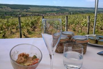 Champagne Private Tour Moet and Chandon