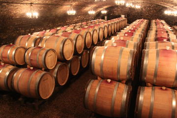 Divine Small Group Wine Tasting Guided Day Tour in Burgundy from Beaune
