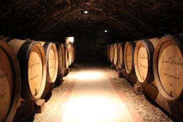 Private Burgundy day tour Cote de Beaune