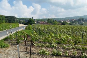 Small-Group Day Tour of Epernay: Picturesque Moet et Chandon and Hautvillers with Champagne Tasting from Reims