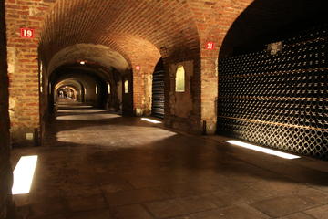 Small-Group Day Tour of Moët et Chandon and Taittinger with Champagne Tasting from Reims