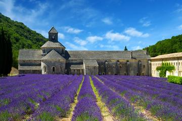 Small-Group Highlights of Provence Tour with Calissons d'Aix Tasting