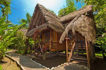 Amazon Experience 3 days in Cotococha Lodge