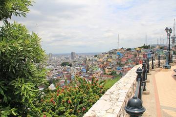 Private Guayaquil Half-Day City Tour Including The Malecon and Las Peñas Neighborhood