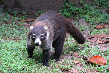 Metropolitan Natural Park Tour in Panama City
