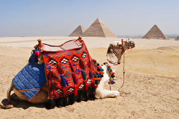 Giza Pyramids, Alabaster Mosque, Hanging Church Private Tour