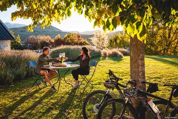Full-Day Self-Guided Gibbston Valley Winery Bike Tour from Queenstown