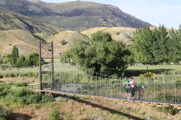 Half Day Bike Tour of Arrow River Trail