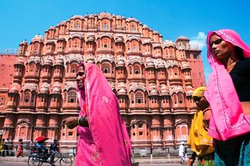 Half-Day Amber Fort and Sisodia Palace Garden Tour