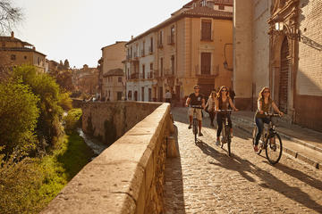 Small-Group Electric Bike Tour of Granada