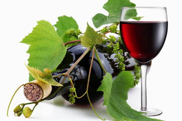 6 Hour Livermore Valley Wine Tasting Tour from San Francisco