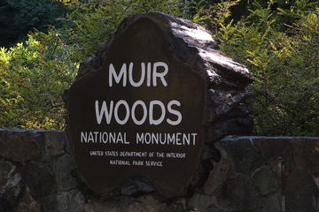 Private Tour: Muir Woods and Wine Country - 10 Hour