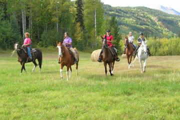 Day Trip Bulkley Valley Horseback Ride near Smithers, Canada 