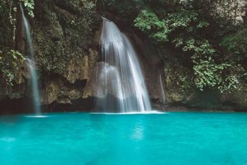 Moalboal Island Hopping and Kawasan Day Tour
