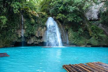 Oslob Whale Shark and Kawasan Falls Day Tour