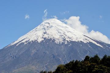 Frutillar, Puerto Varas and Petrohué Waterfalls Excursion from Puerto Montt