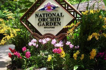 Scented stories of Singapore: Tour of Orchid Garden