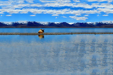 5-Night Tibet: Lhasa and Namtso Lake with Travel Permit