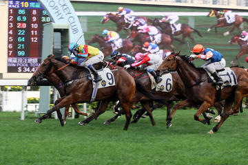 Chinese New Year Horse Racing Tour in Hong Kong