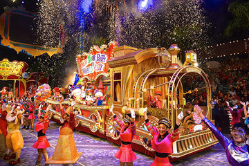Chinese New Year Parade plus New Territories Tour