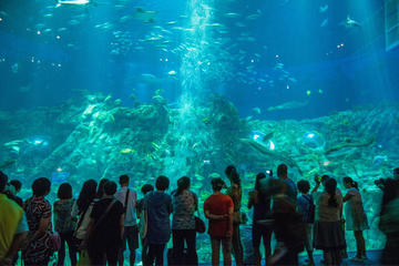 Coach Day Tour: Ocean Park Tour With Hotel Pickup in Hong Kong Island