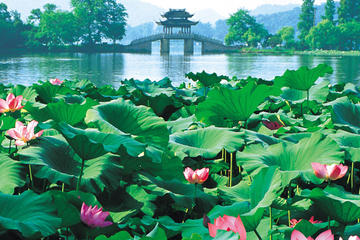 Day Tour of Picturesque Hangzhou