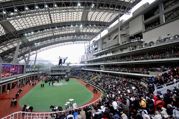 Hong Kong Horse Racing Tour