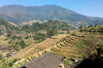 Longsheng Rice Terraces 2-Day Tour from Guilin