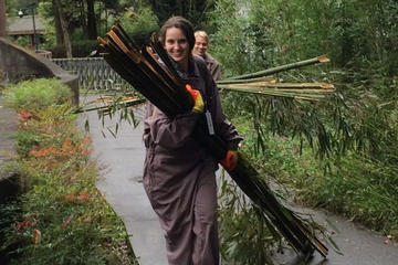 One Day Panda Keeper Volunteer in Dujiangyan