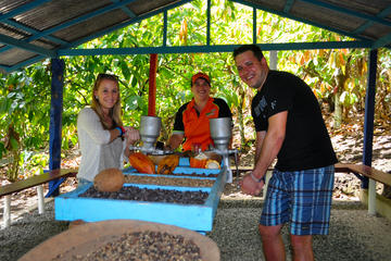 Cultural Jungle Rally Adventure from Punta Cana