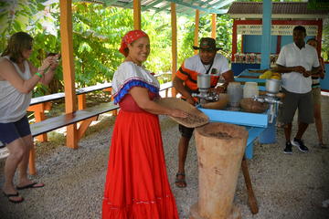 Outback Dominican Flavors Countryside Adventure (Half Day)