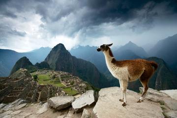 5-Day Machu Picchu and Highlights of Cusco
