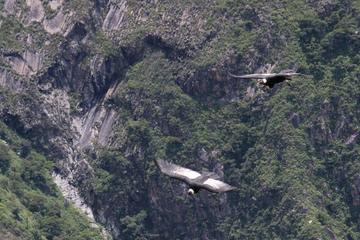 Chonta Condor Watching, Tarawasi and Quillarumiyuc Full-Day Tour from Cusco