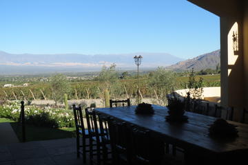 Exclusive day-long private tour of Cafayate vineyards