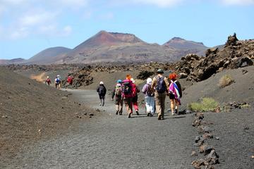 3-Volcanoes Guided Walking Tour from Lanzarote