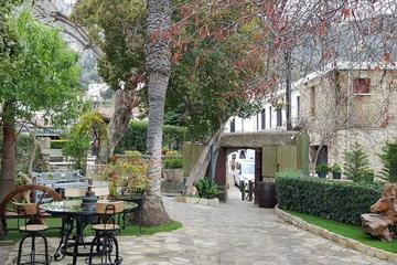 Small Group Tour of Nicosia and Kyrenia from Nicosia