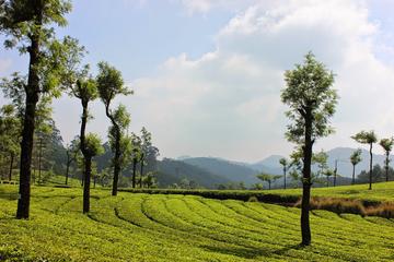 7 Days Serene Kerala Package - Private