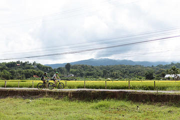 FIELDS OF GOLD  Mountain Biking Tour Chiang Mai