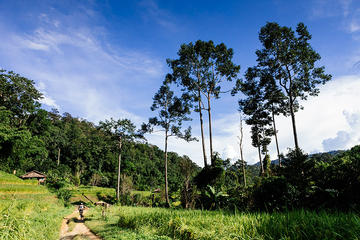 Rural Explorer Mountain Biking Tour Chiang Mai