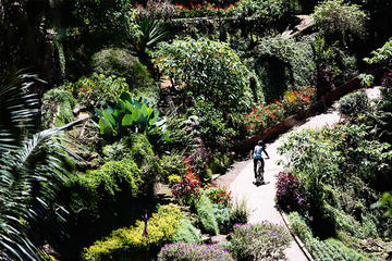 Thriller Trail Mountain Biking Tour from Chiang Mai