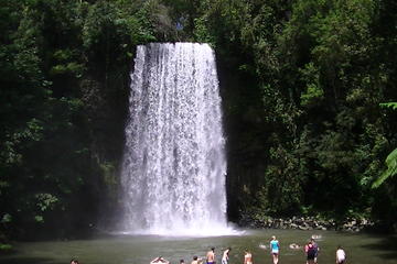 Atherton Tablelands Waterfalls Day Trip from Cairns