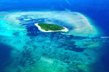 Private Scenic Flight Reef and Rainforest Tour