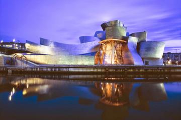 Bilbao Guggenheim Museum Exterior and Interior Small-Group Tour